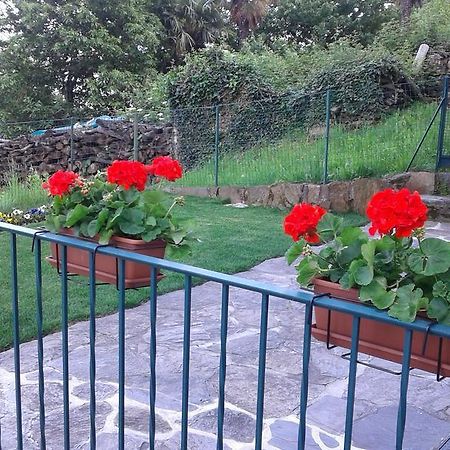 Vanni'S House Каннобио Экстерьер фото